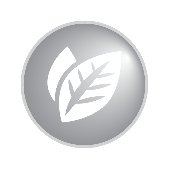 iconesourvalues 02 (1)